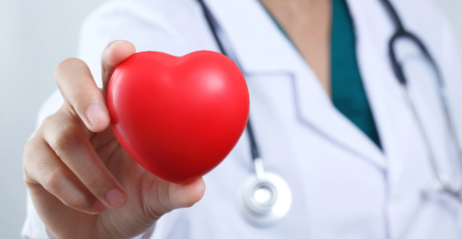 doctor holding a heart shaped toy